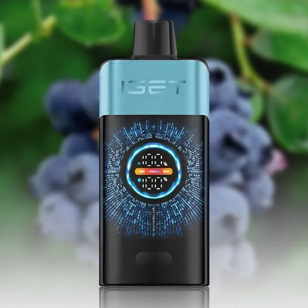 5183152865-1.webp IGET One 12000 Blueberry Ice - Image 1
